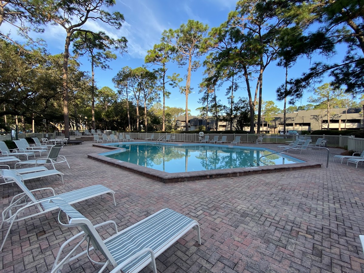 Innisbrook Resort — photo 4