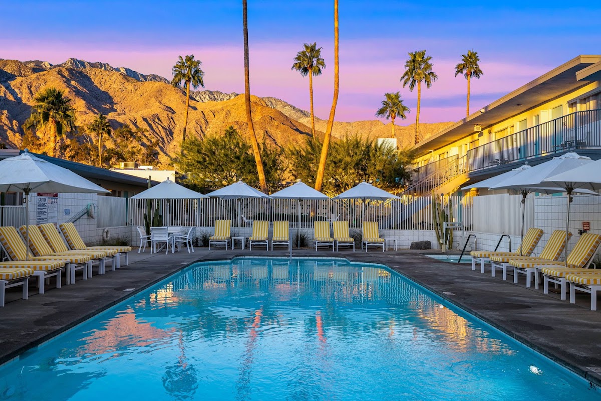 The Skylark - a Palm Springs Hotel — photo 4