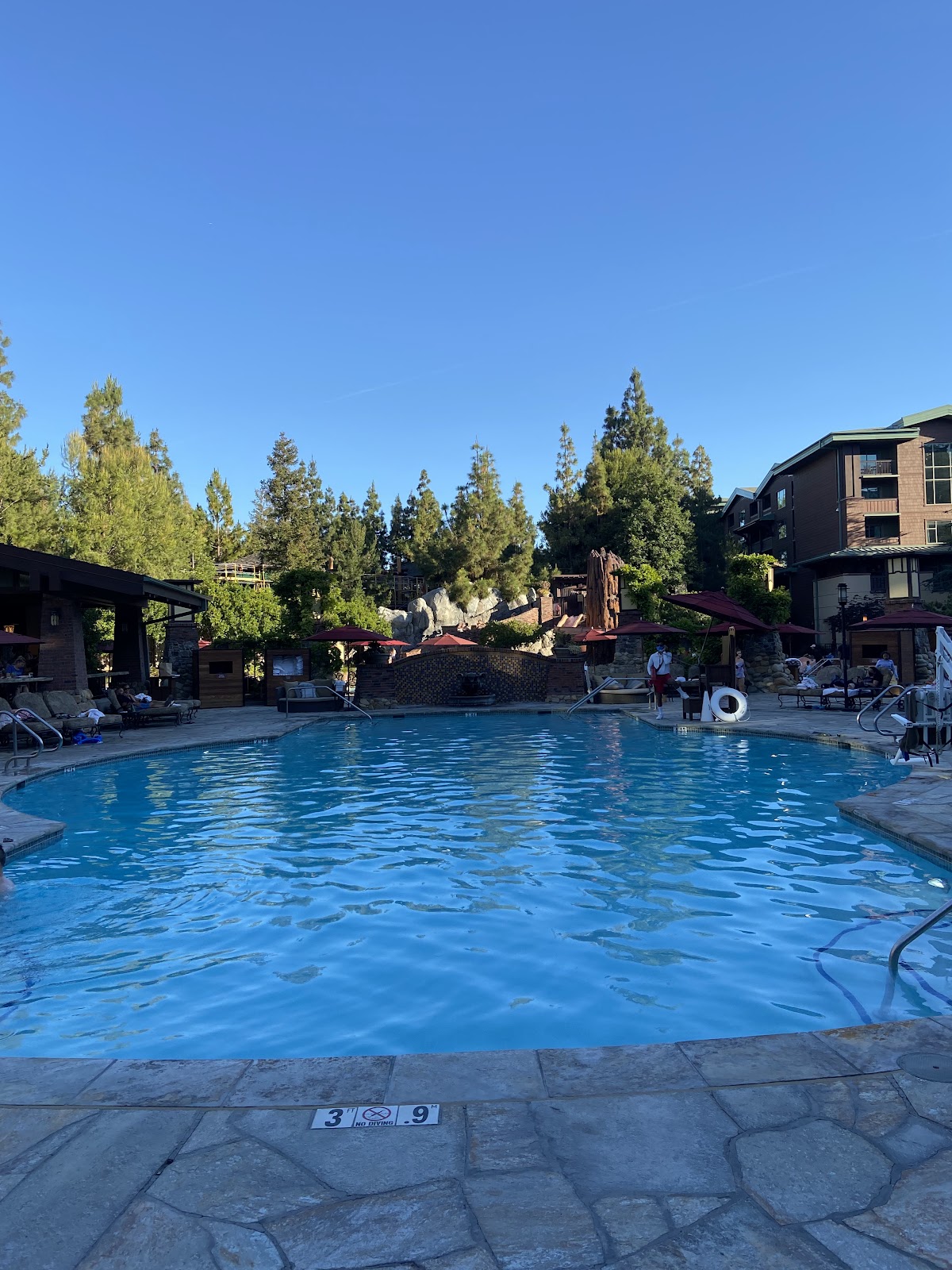 Disney's Grand Californian Hotel & Spa — photo 4