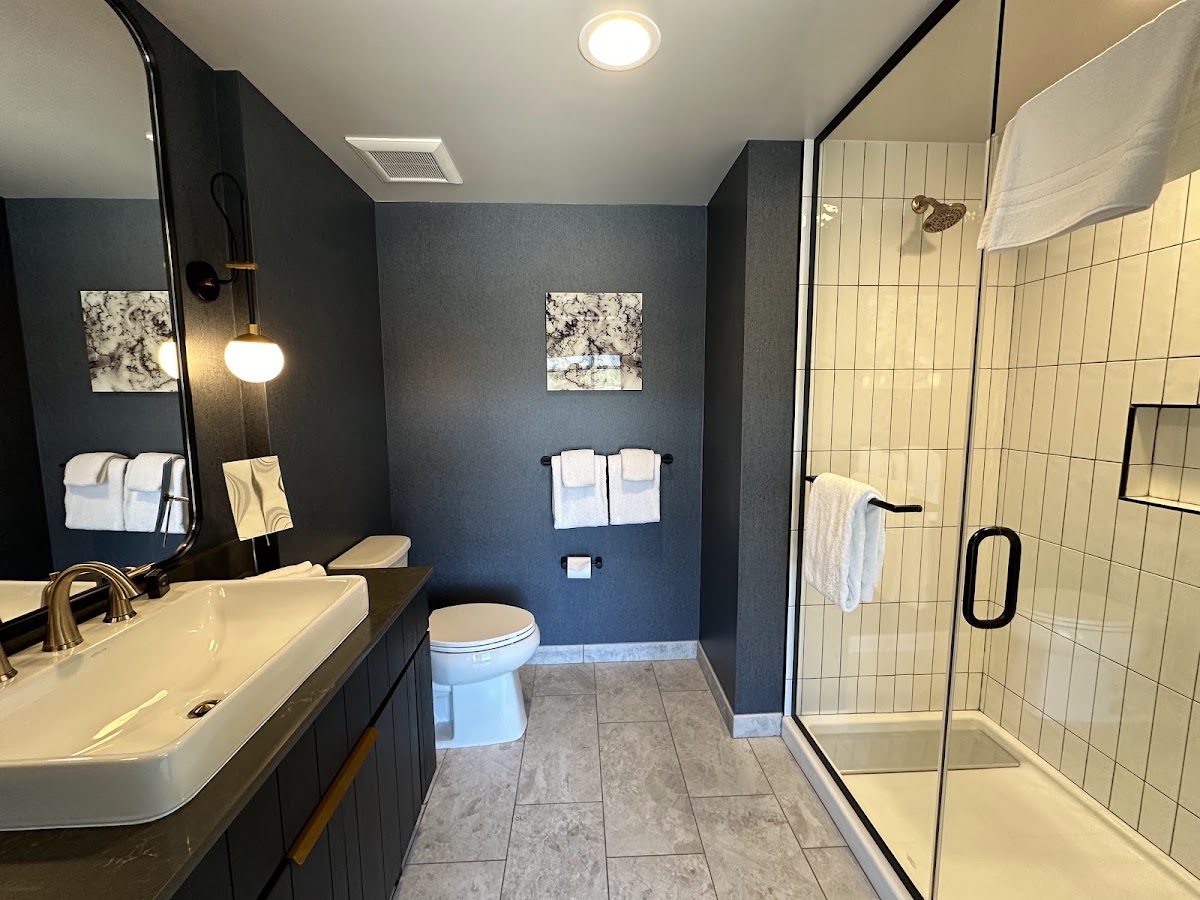 The Hoffmann Hotel Basalt Aspen, Tapestry Collection by Hilton — photo 5