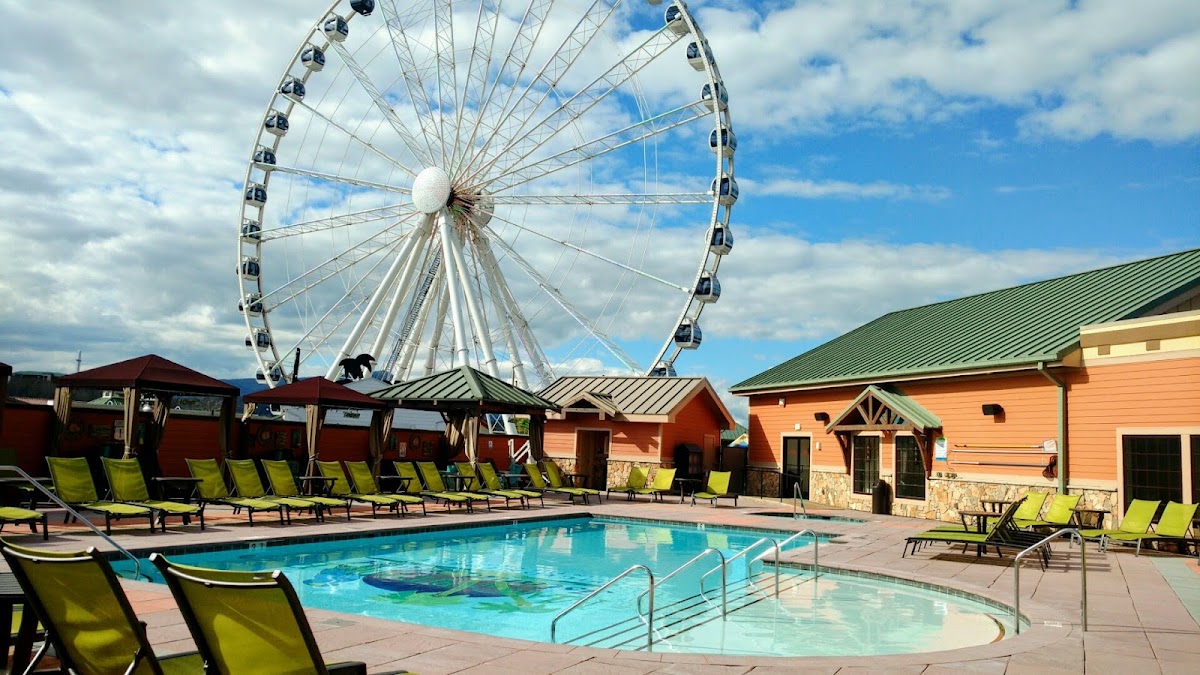 Margaritaville Island Hotel — photo 4