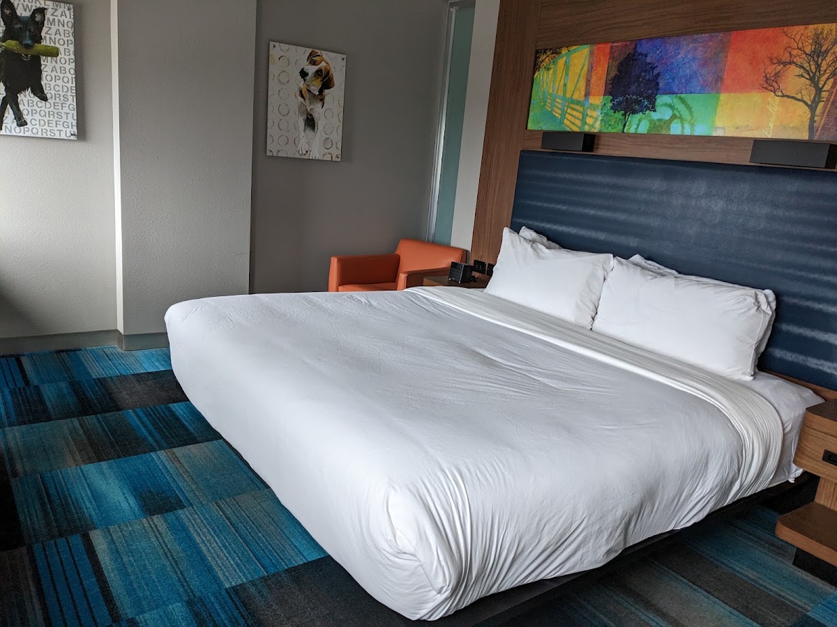 Aloft by Marriott Greenville Downtown — photo 3