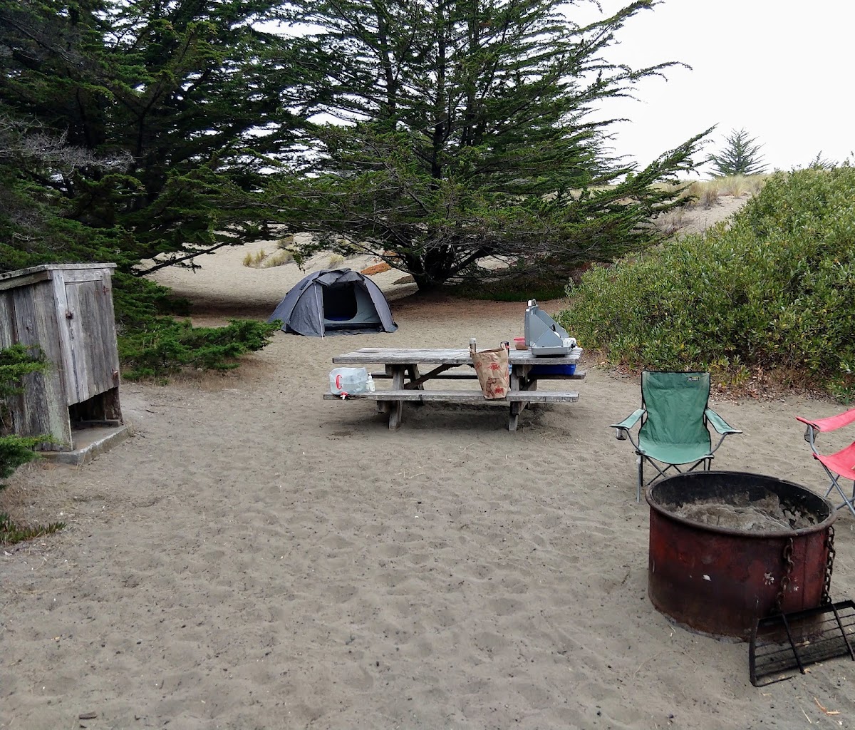 Bodega Dunes Campground — photo 4