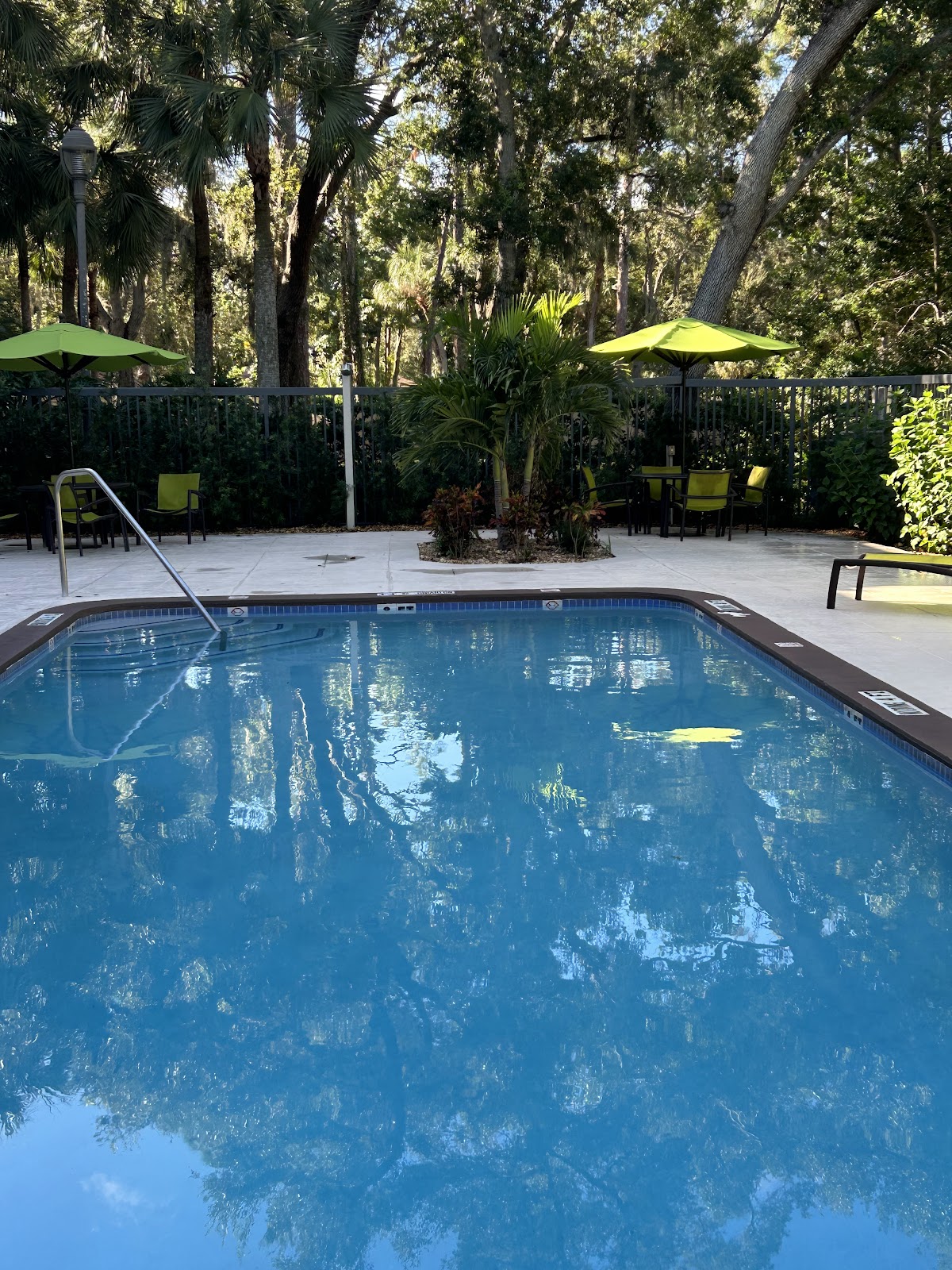 SpringHill Suites by Marriott Sarasota Bradenton — photo 4
