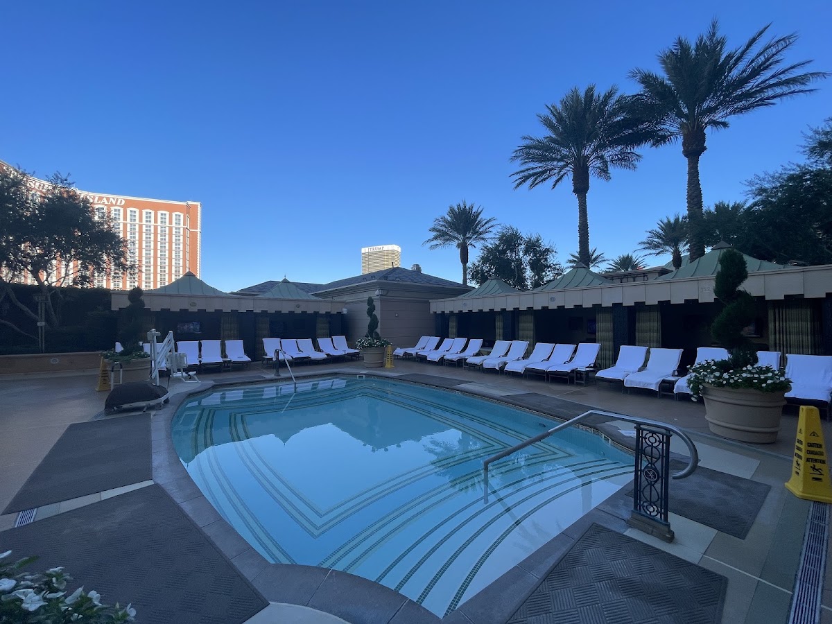 The Palazzo at The Venetian Resort — photo 4
