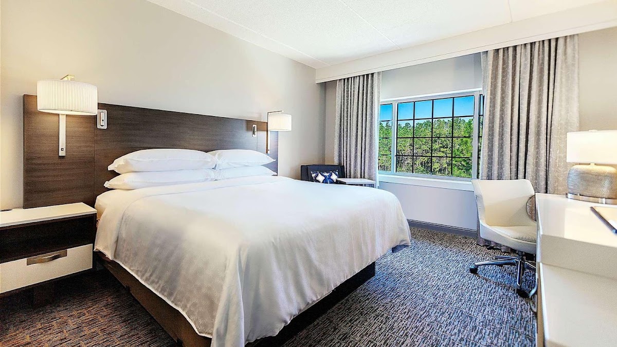 Sheraton Jacksonville Hotel — photo 3