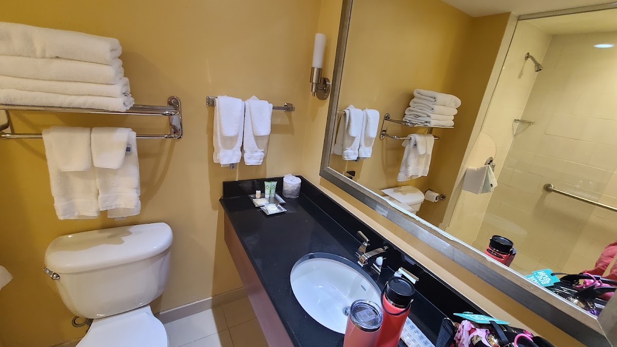 Wyndham Gettysburg Hotel & Conference Center — photo 5