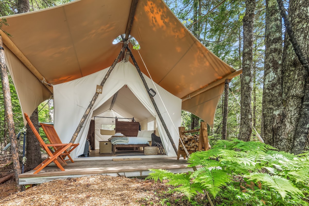 Under Canvas Acadia — photo 4