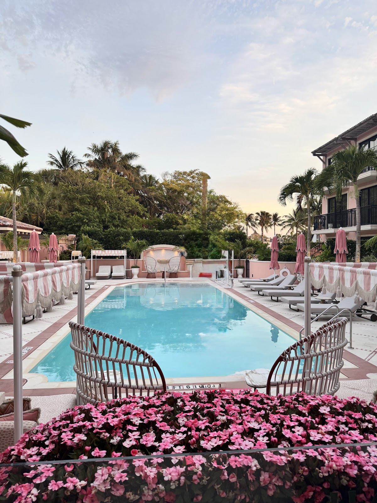 Palm House — photo 4