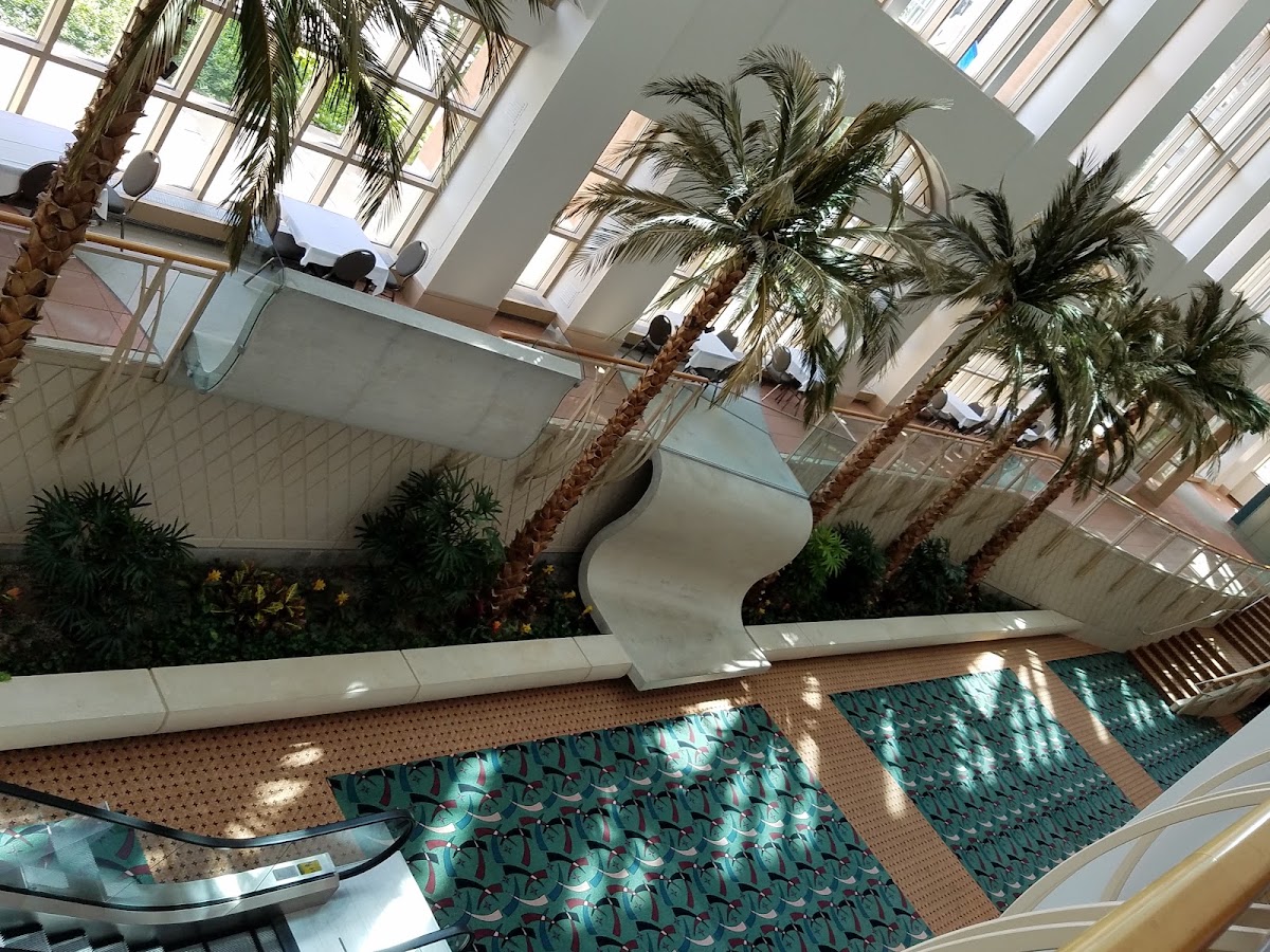 Hilton Milwaukee — photo 4
