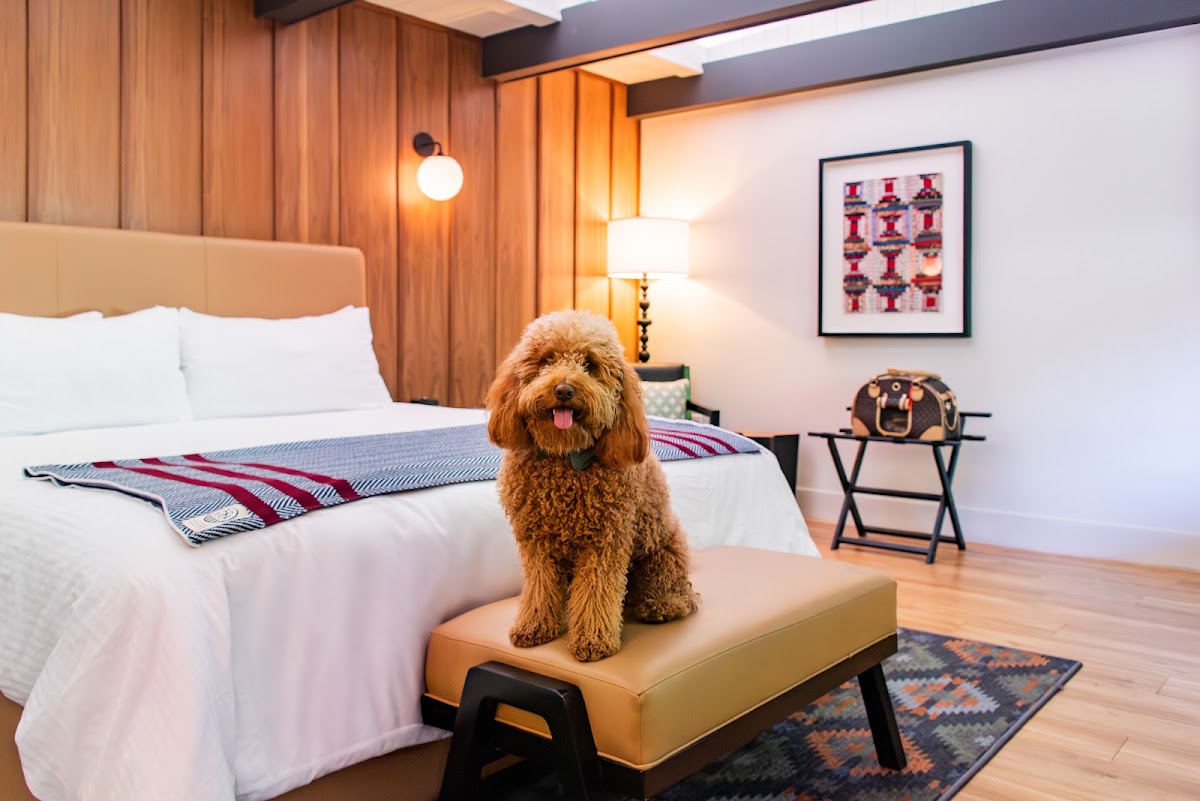 Historic Rocky Waters Inn, A Small Luxury Hotel — photo 3