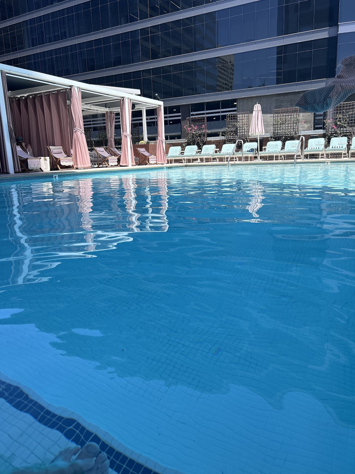 Kimpton Hotel Palomar Phoenix — photo 4