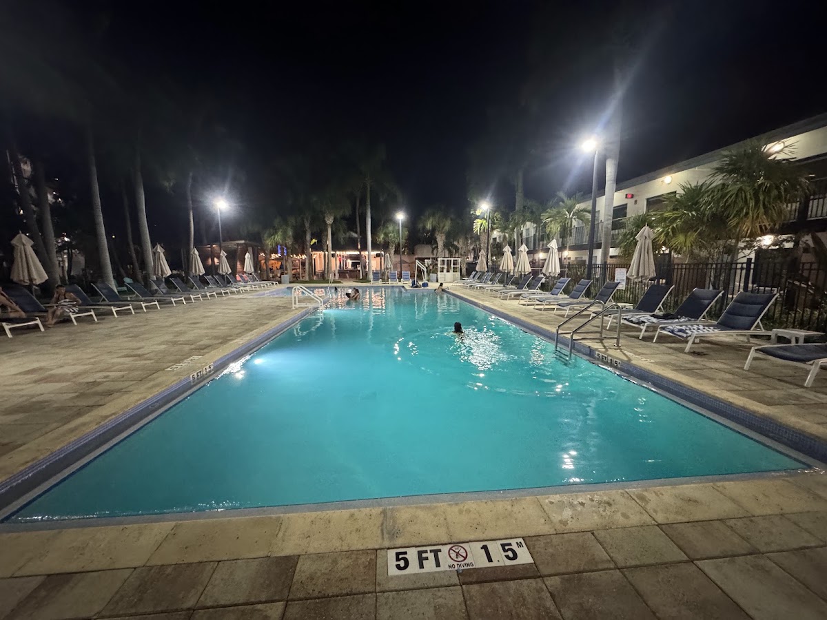 Blue Flamingo Resort Key West — photo 4