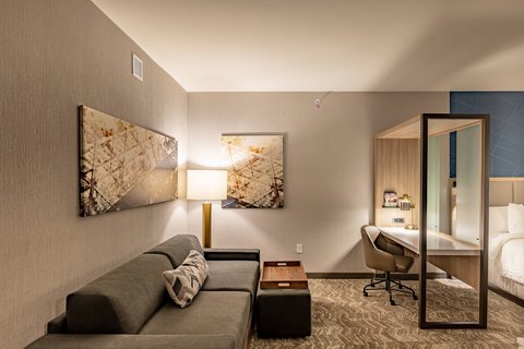 SpringHill Suites by Marriott Dallas McKinney/Allen — photo 3