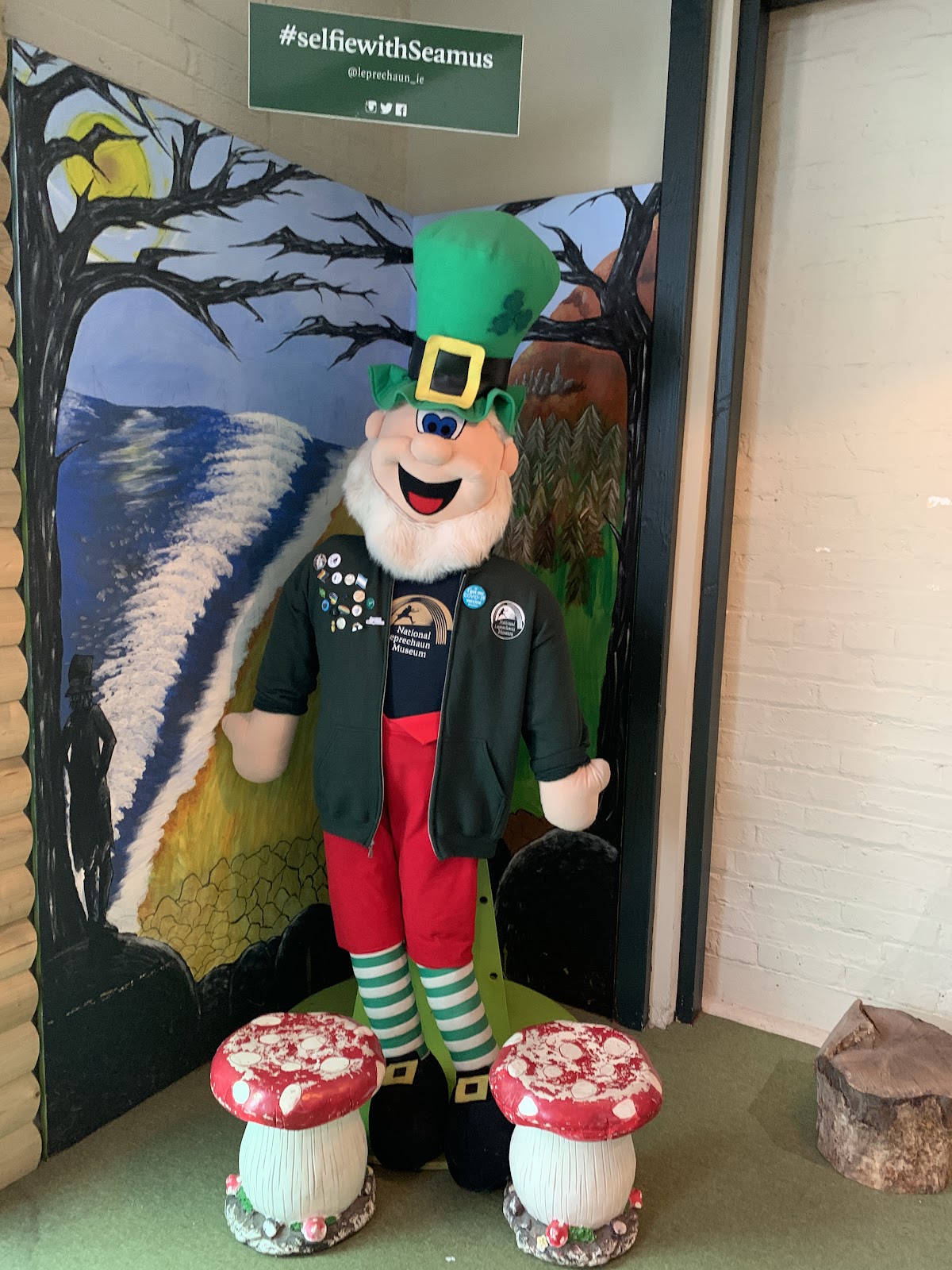 National Leprechaun Museum of Ireland — photo 5