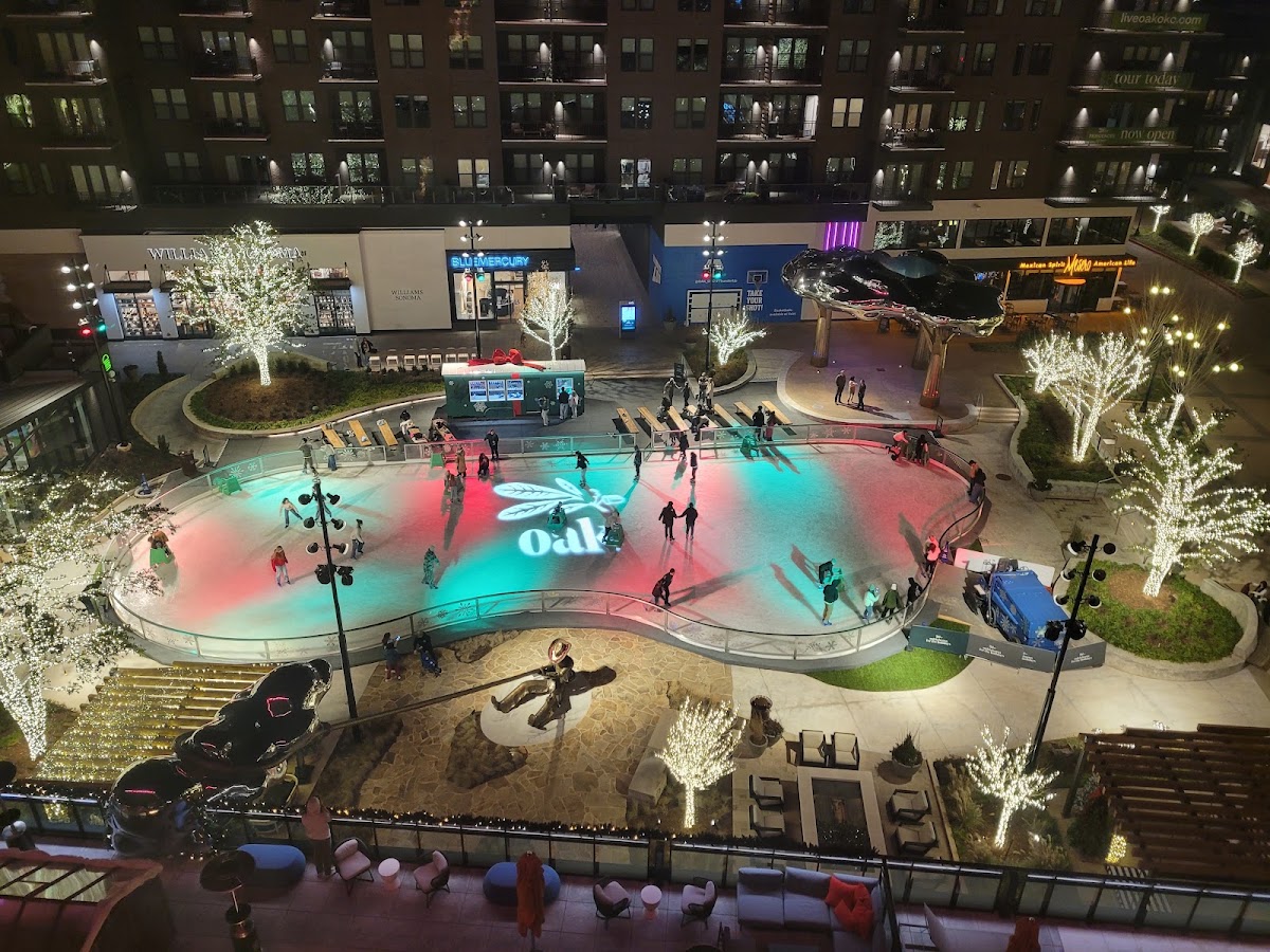 Lively Hotel on OAK — photo 4
