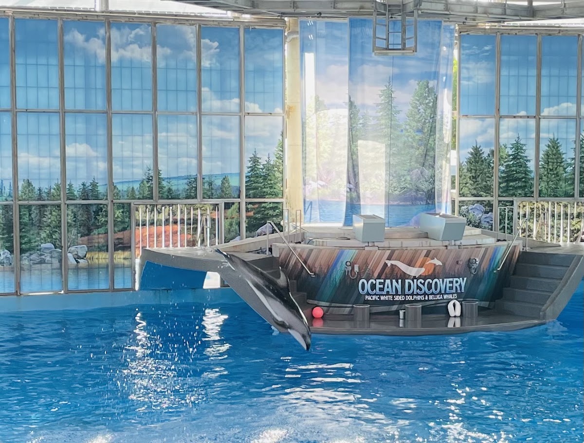Tru by Hilton San Antonio Lackland SeaWorld — photo 4