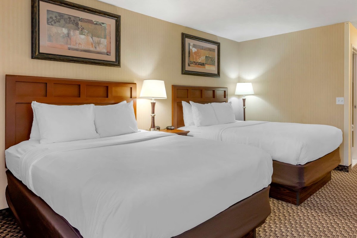 Comfort Inn Traverse City — photo 3