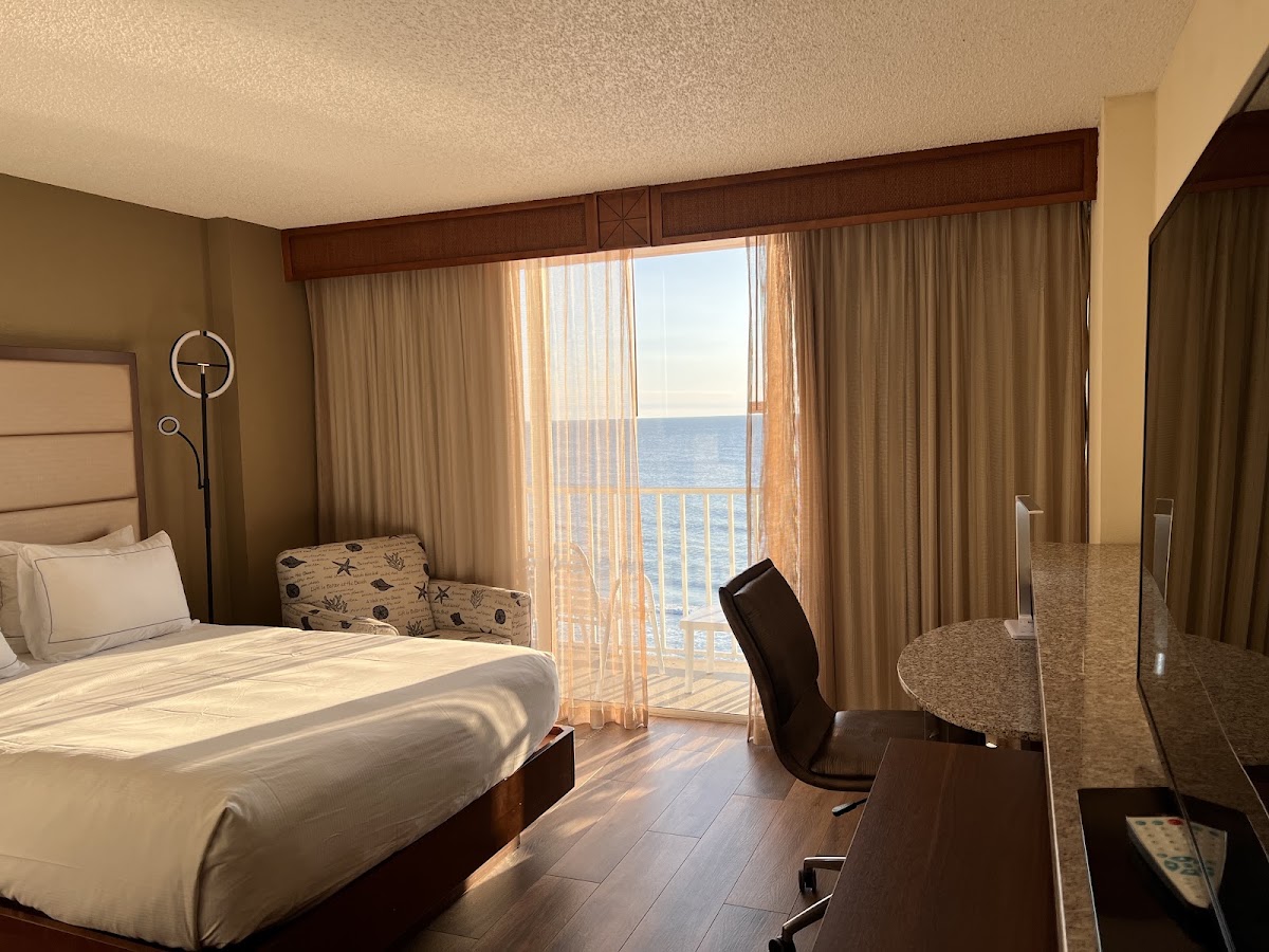 DoubleTree Beach Resort by Hilton Hotel Tampa Bay - North Redington Beach — photo 3