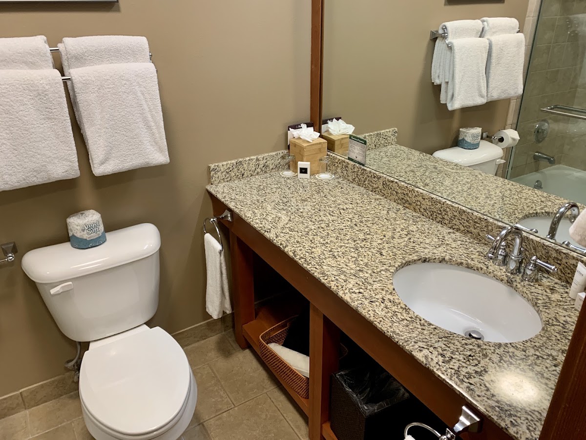 Skamania Lodge — photo 5