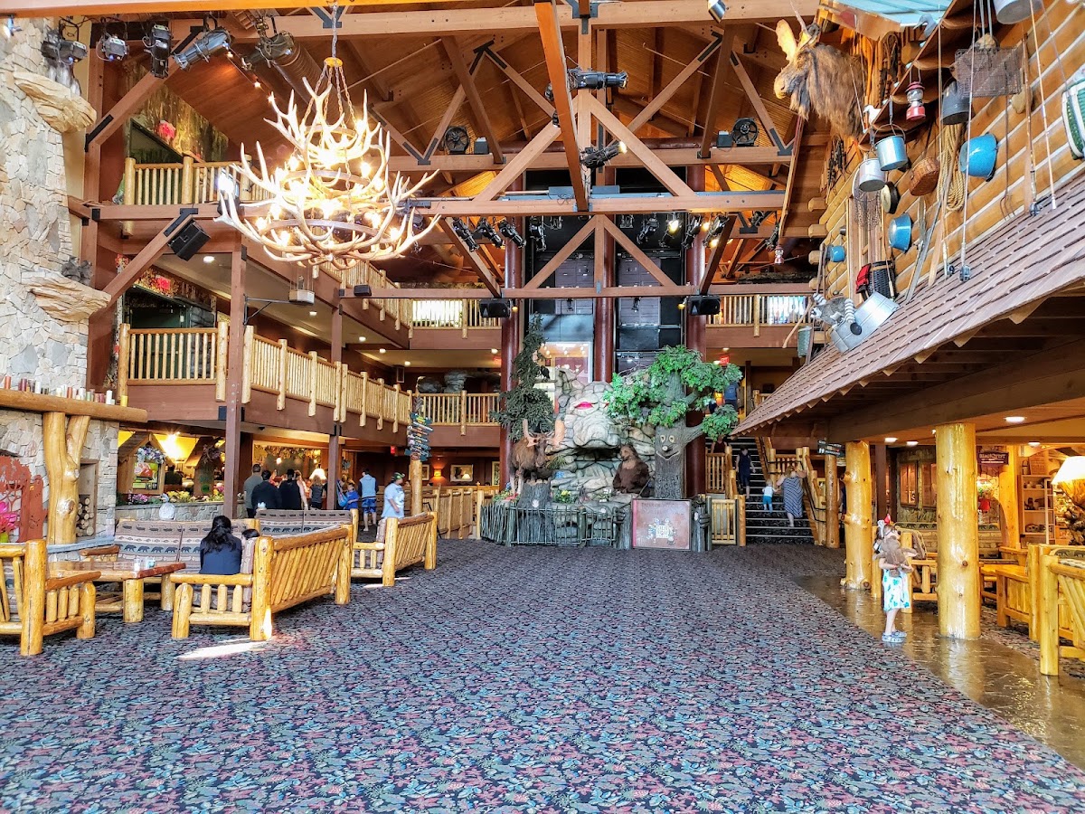 Great Wolf Lodge | Niagara — photo 3