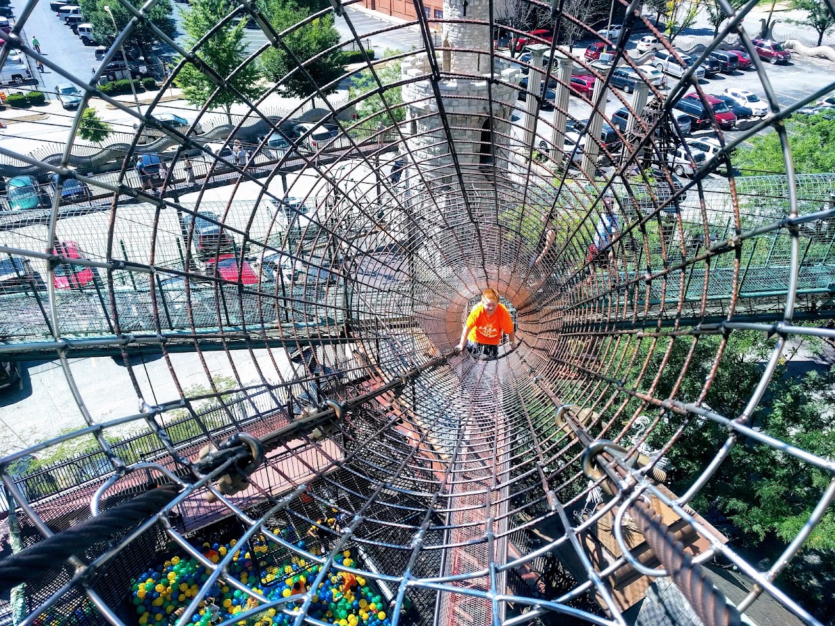 City Museum — photo 3