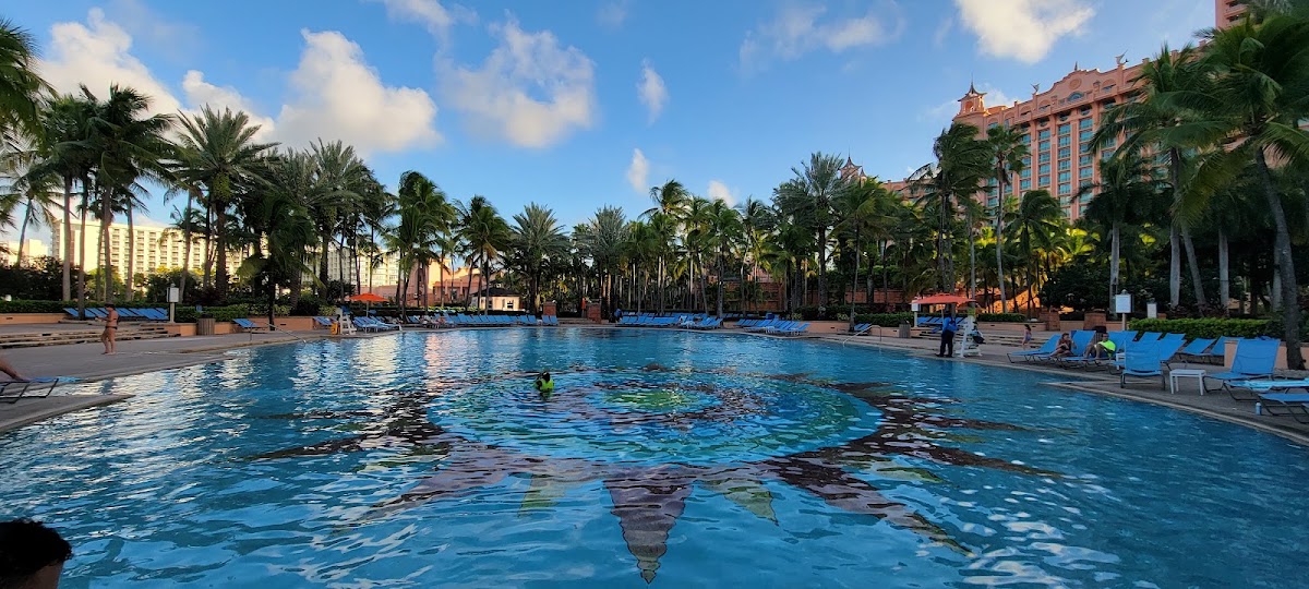 The Reef at Atlantis — photo 4