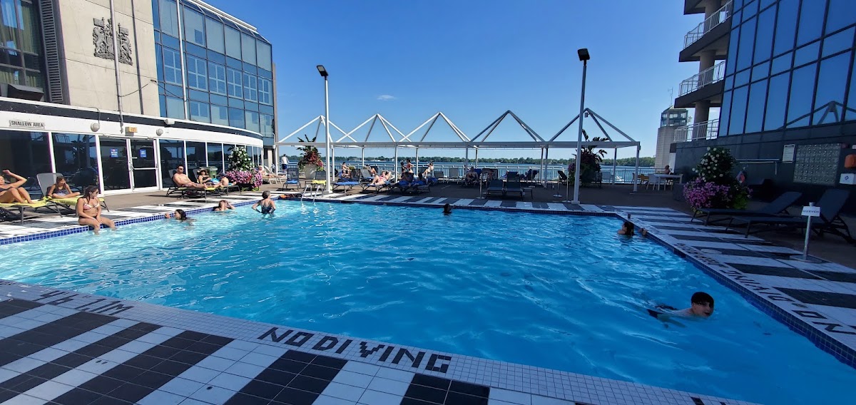 Radisson Blu Toronto Downtown — photo 4