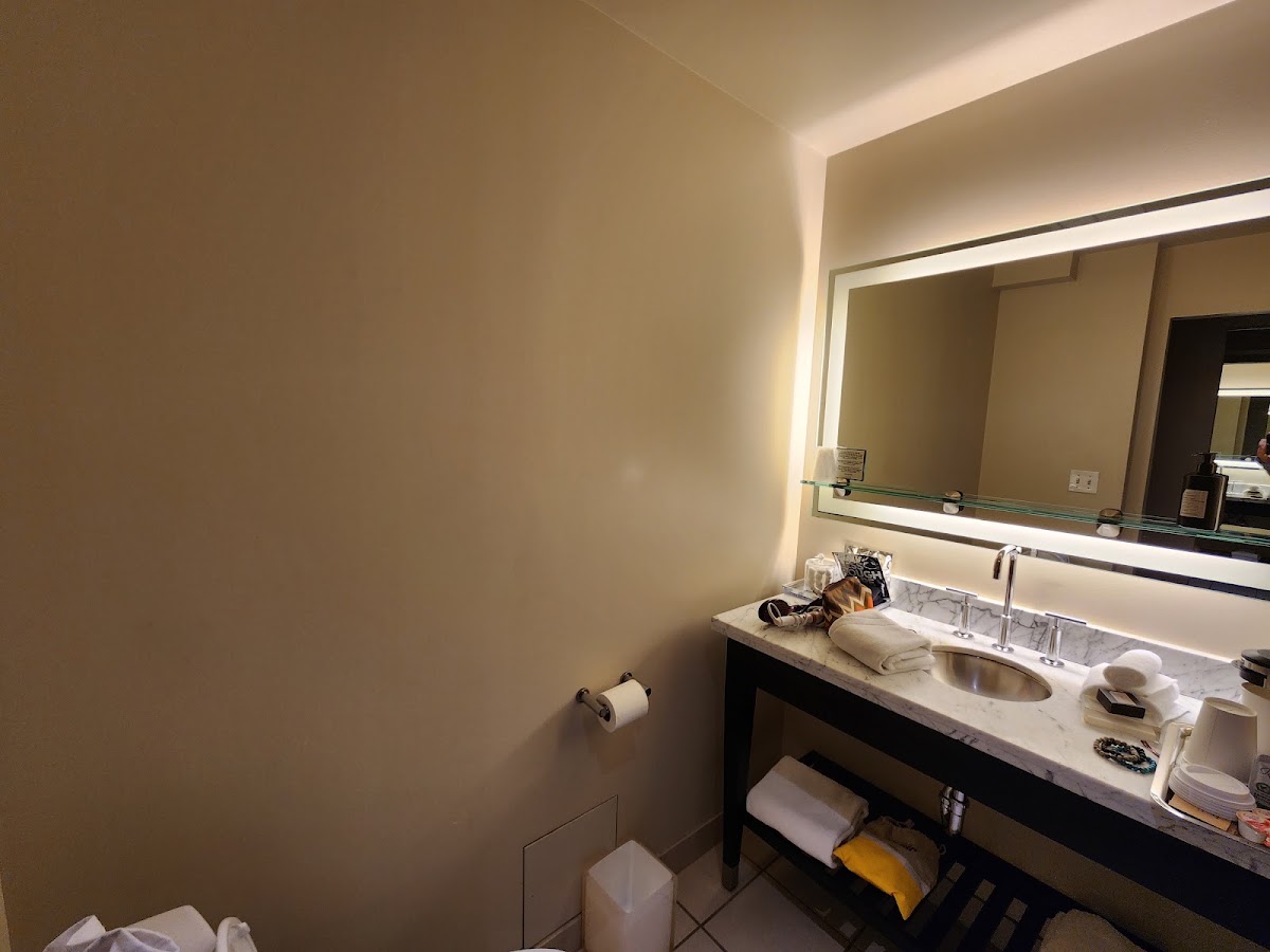 THE MIDLAND HOTEL, Chicago, a Tribute Portfolio Hotel — photo 4