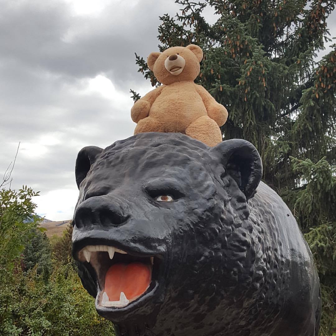 The Black Bear Inn — photo 1