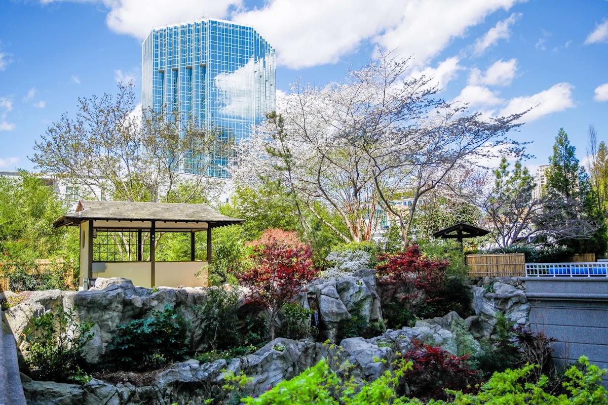 Grand Hyatt Atlanta in Buckhead — photo 1