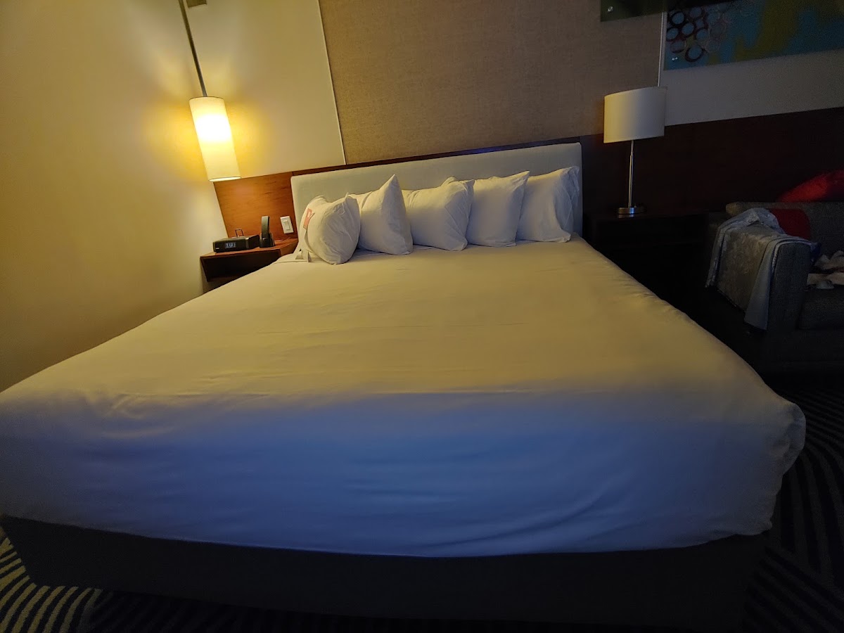 Hyatt Regency Grand Cypress Resort — photo 3