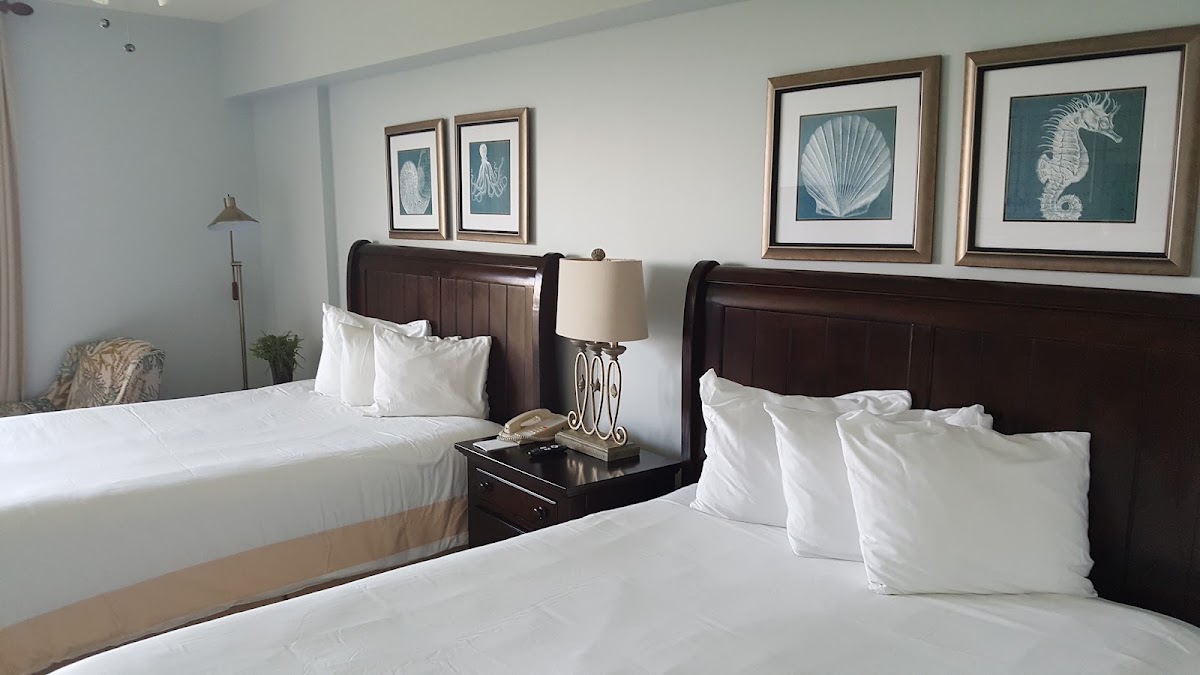Sandestin Golf and Beach Resort — photo 3