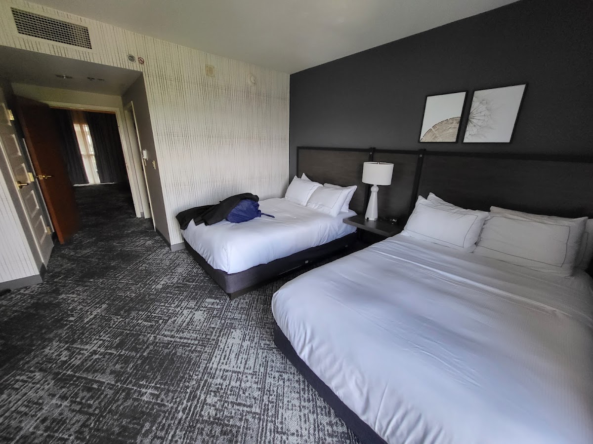Hilton Charlotte Airport — photo 3