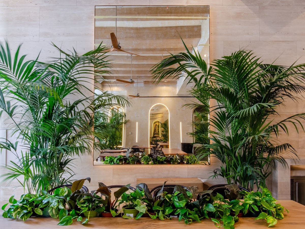 Brown's | Avenue Hotel — photo 1