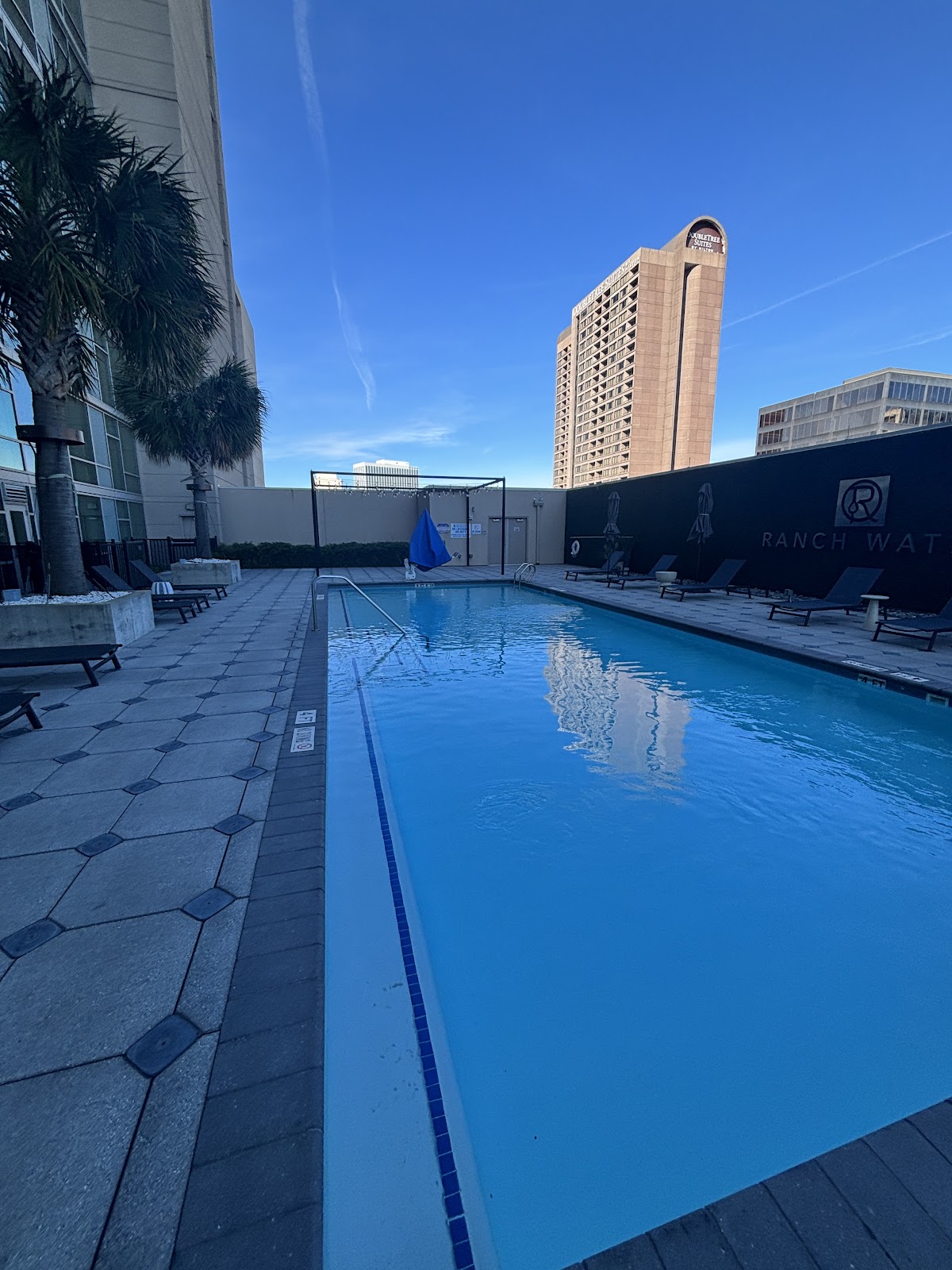 Hyatt Regency Houston/Galleria — photo 4