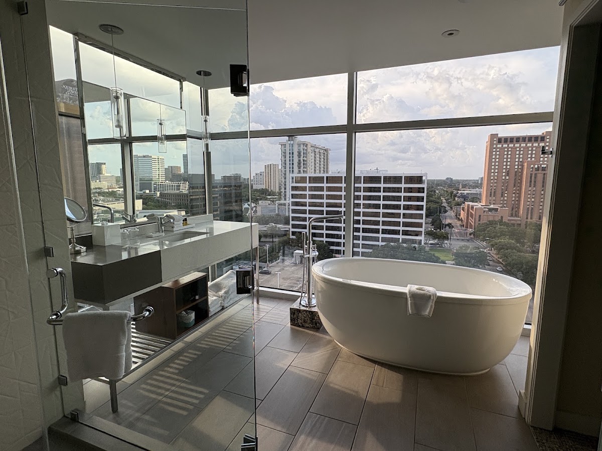 Hyatt Regency Houston/Galleria — photo 5
