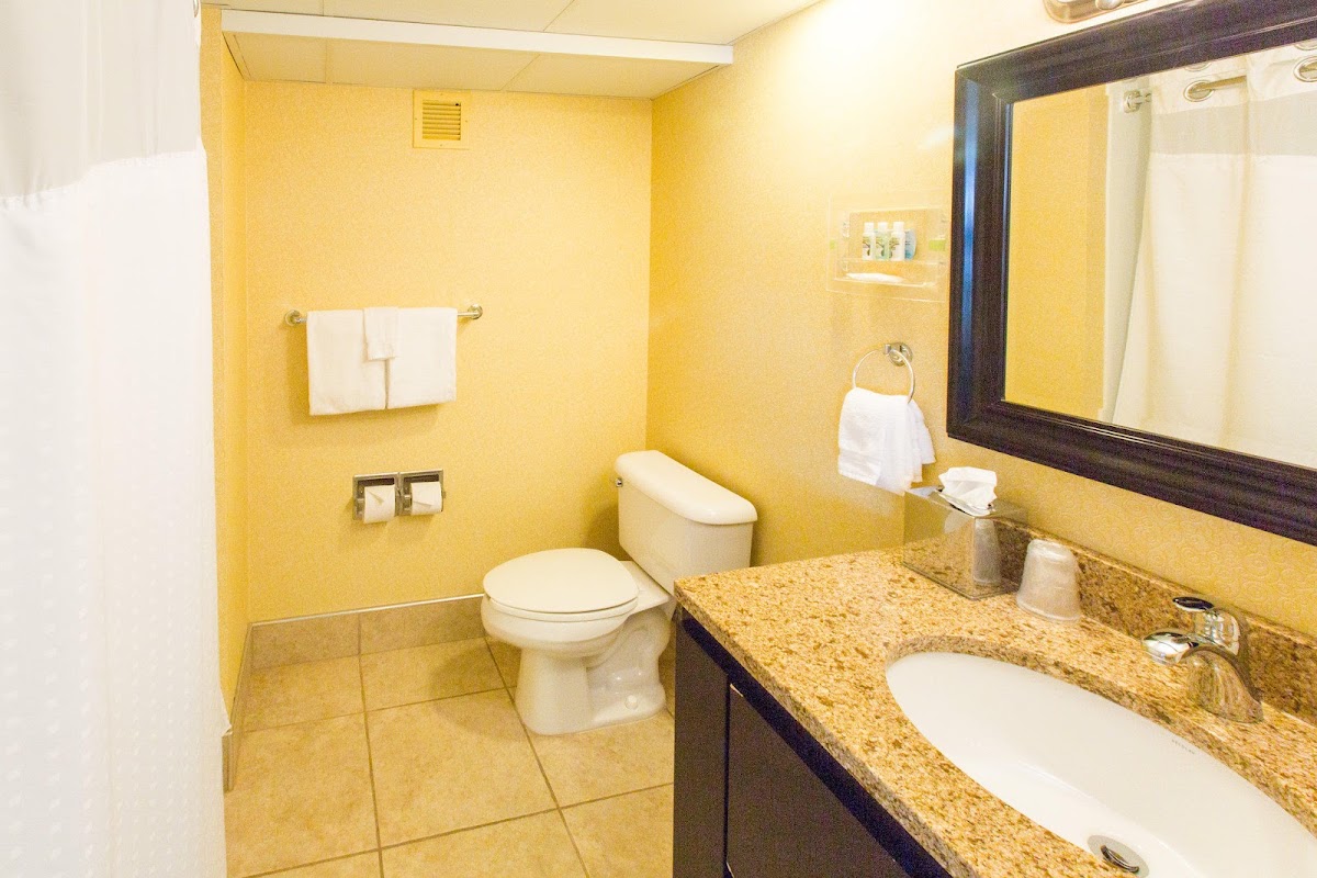 Holiday Inn Sioux Falls-City Centre by IHG — photo 5