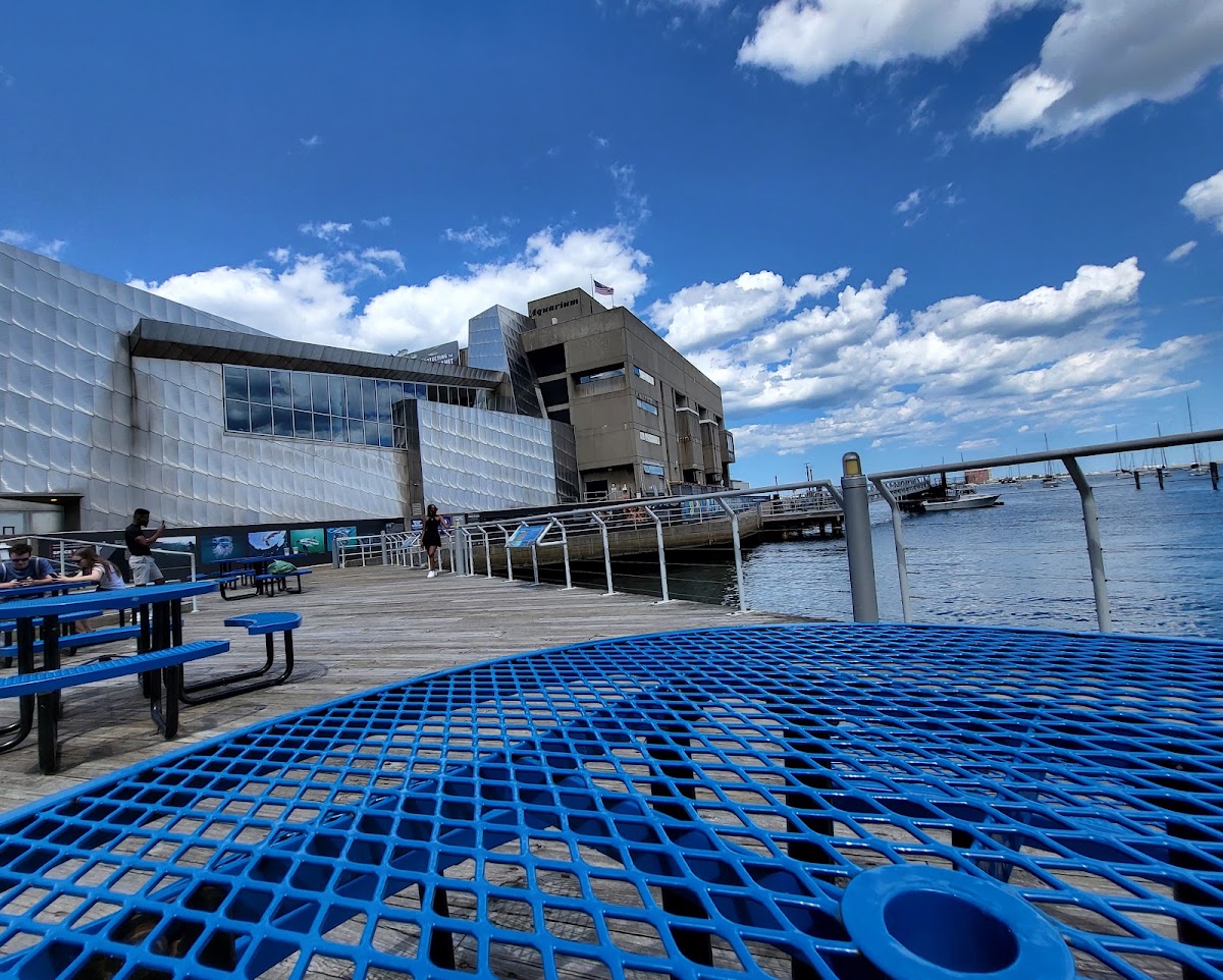 Boston Marriott Long Wharf — photo 4