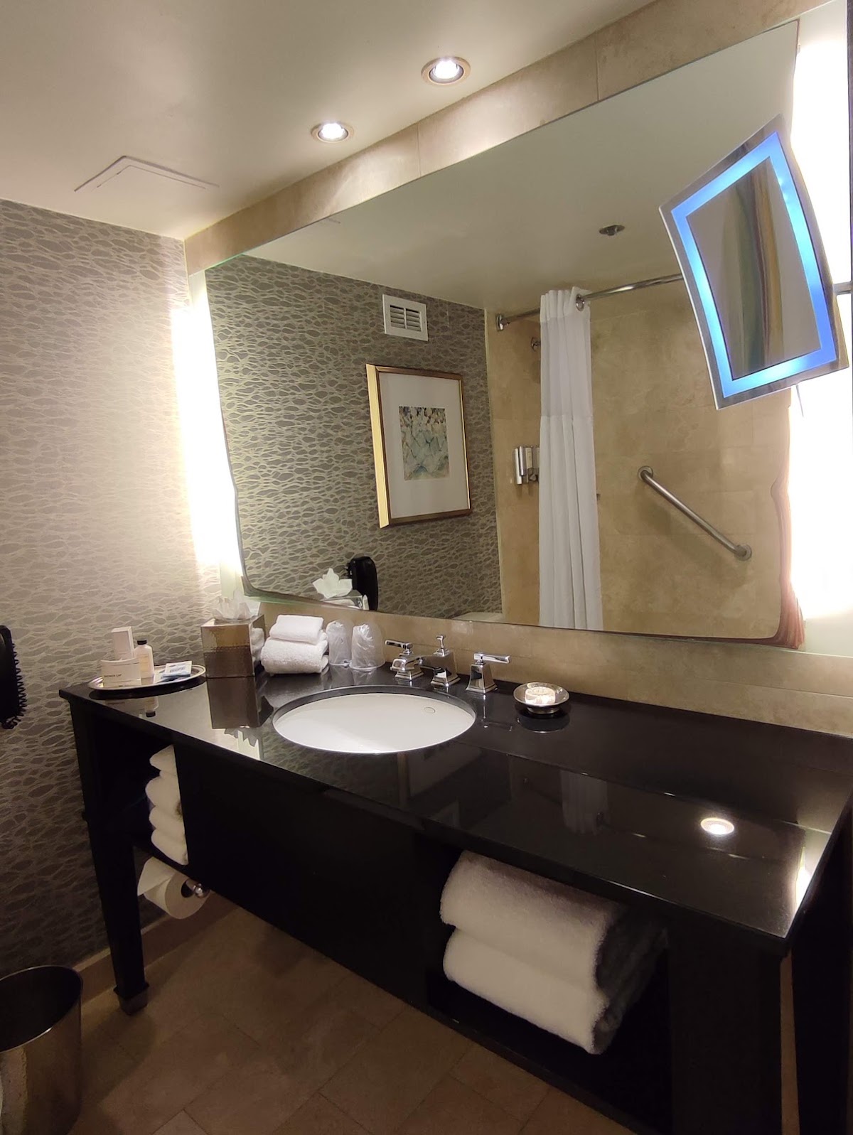 The Royal Sonesta Houston Galleria — photo 5