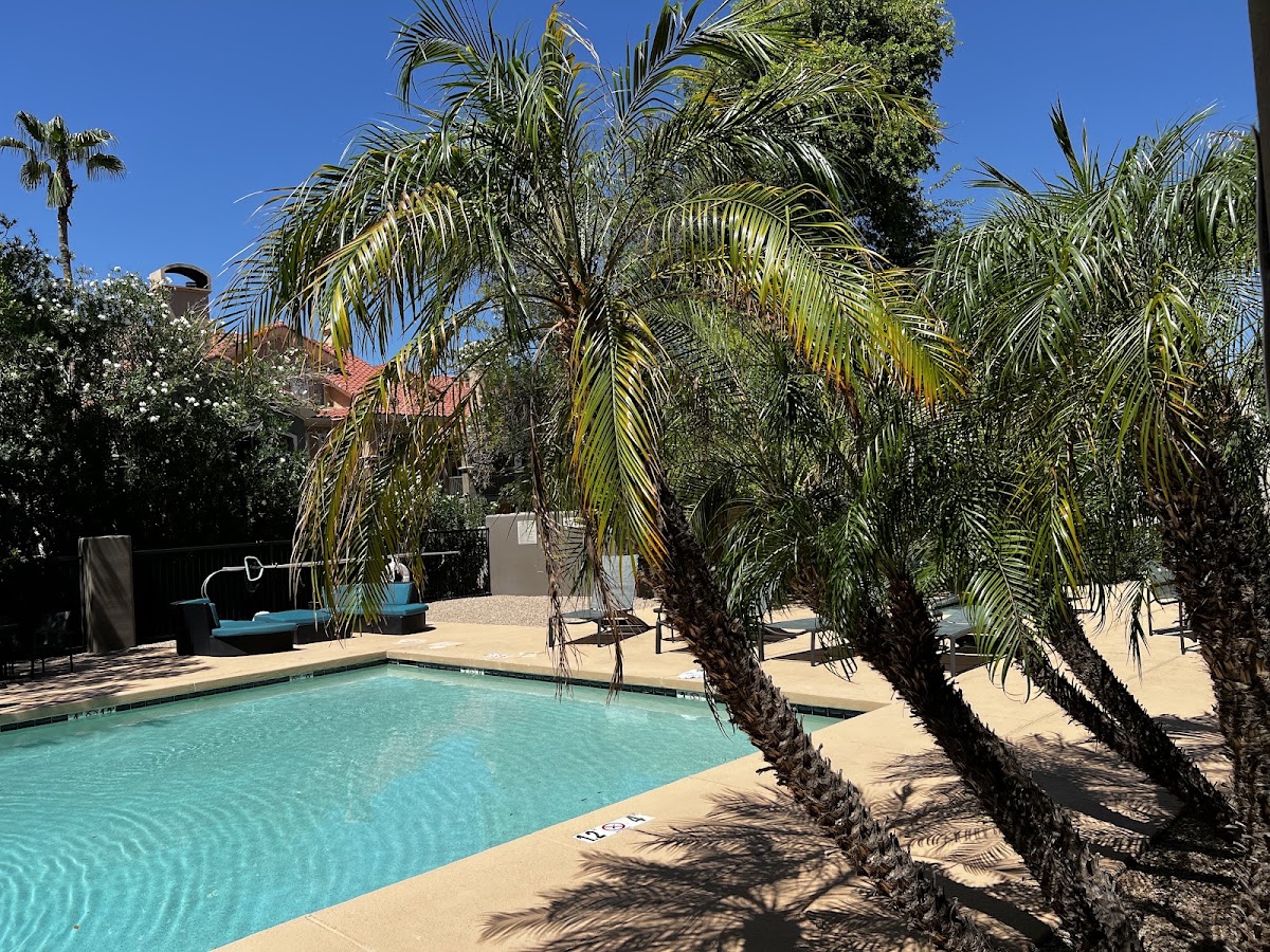 SpringHill Suites by Marriott Scottsdale North — photo 4