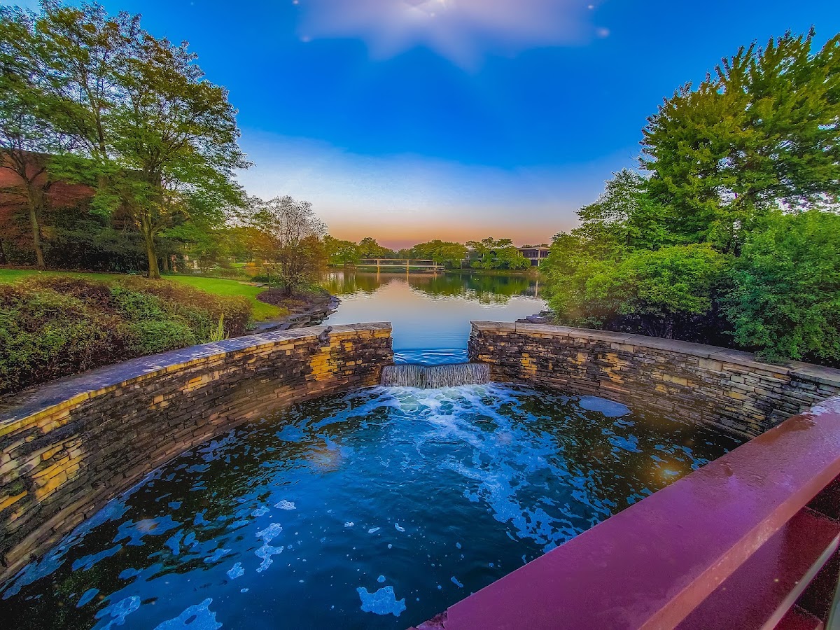 Hyatt Lodge Oak Brook Chicago — photo 4