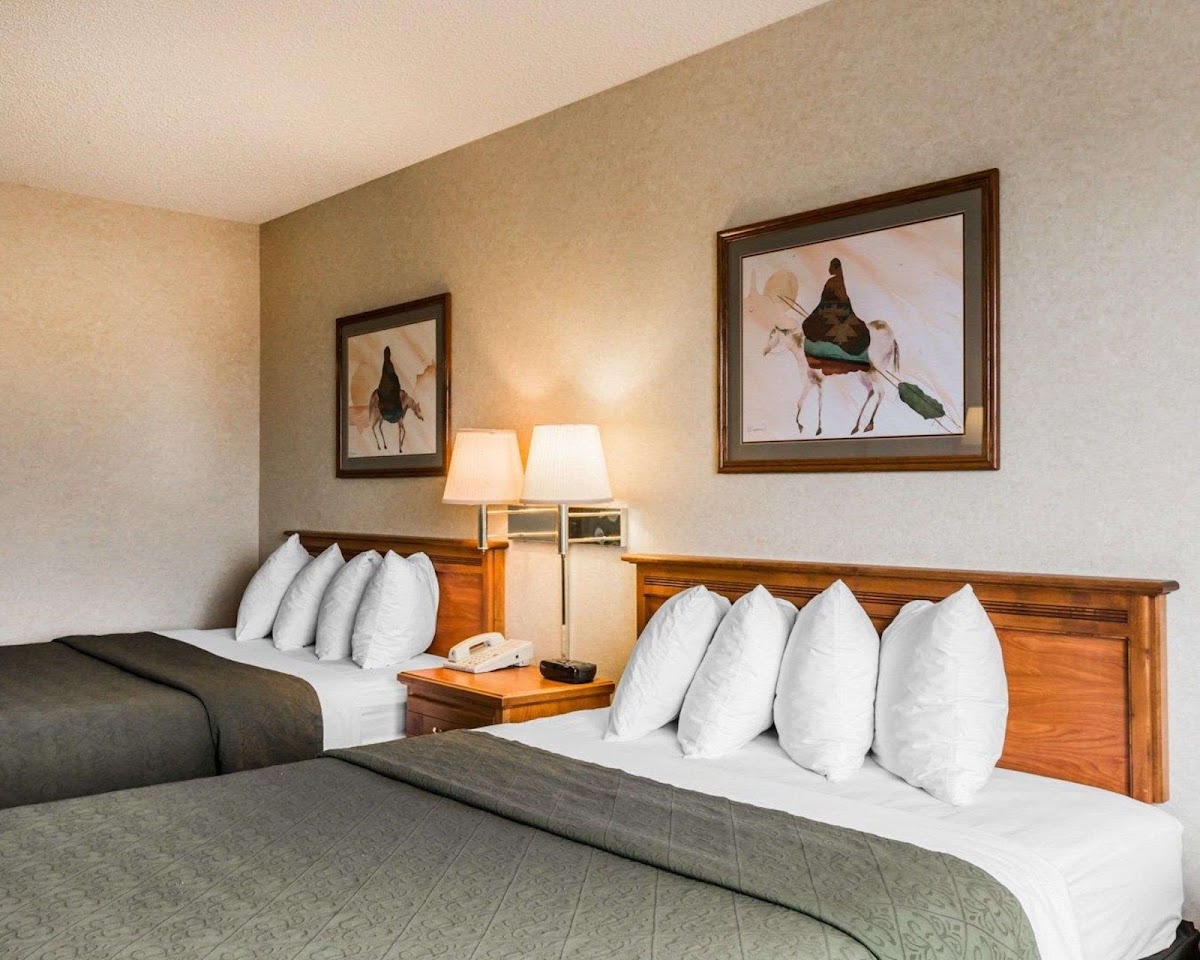 Quality Inn & Suites Montrose - Black Canyon Area — photo 3