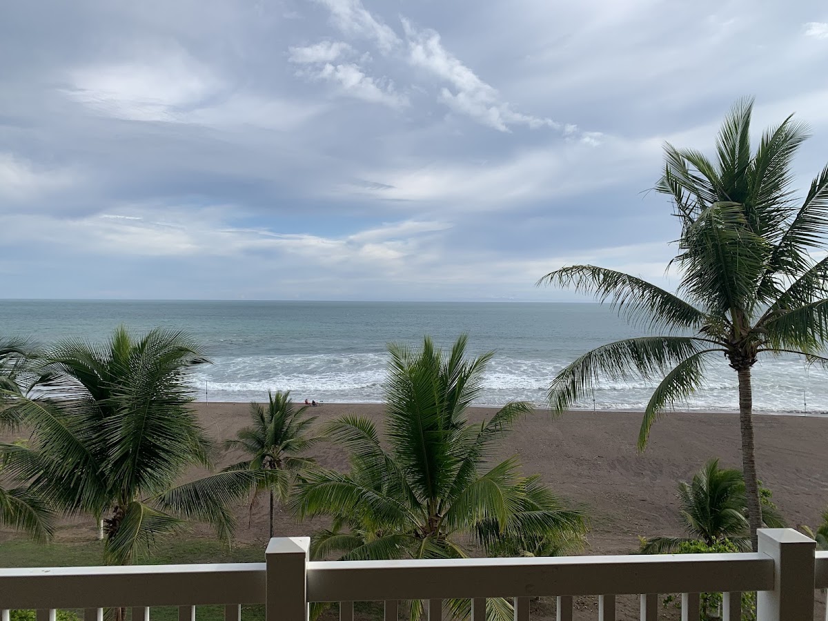 The Palms Ocean Club Resort — photo 5
