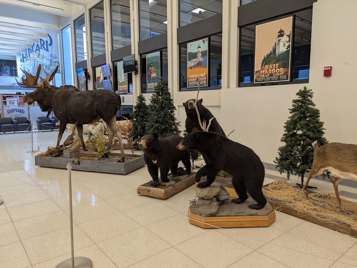 Portland International Jetport — photo 1