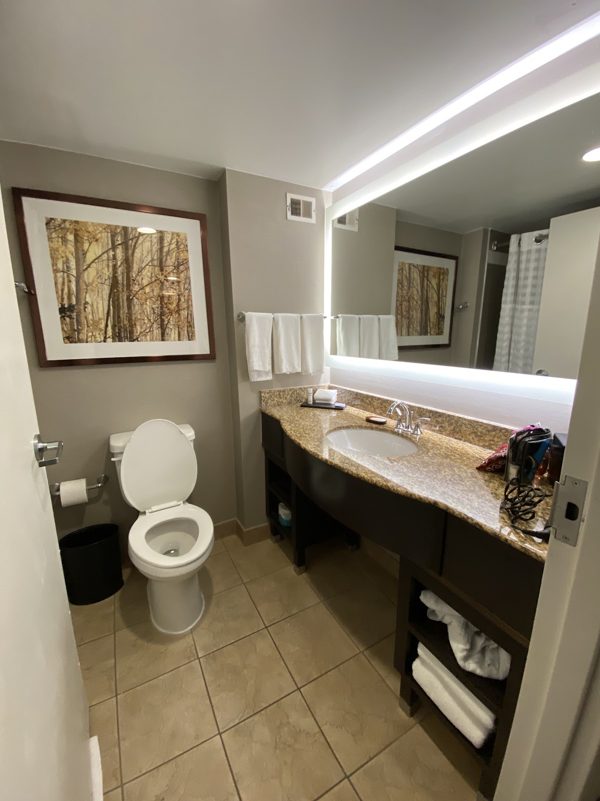 Embassy Suites by Hilton Atlanta Alpharetta — photo 5