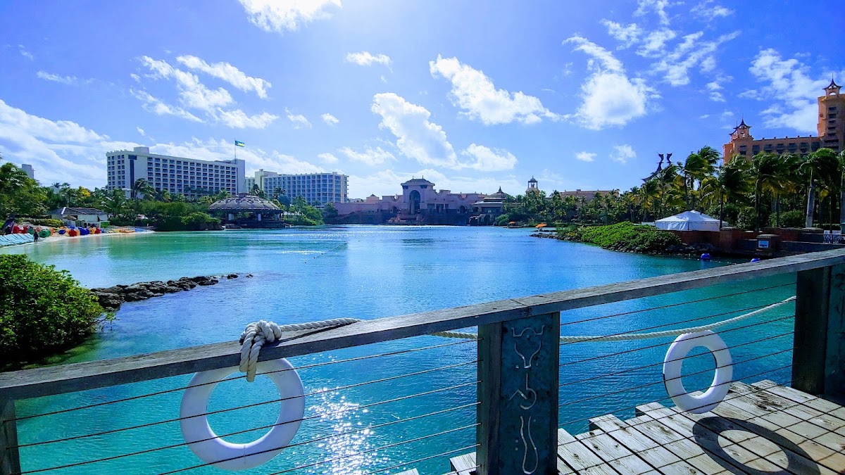 Atlantis Paradise Island Bahamas — photo 4