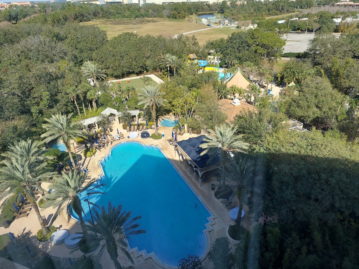 Renaissance Orlando at SeaWorld® — photo 4