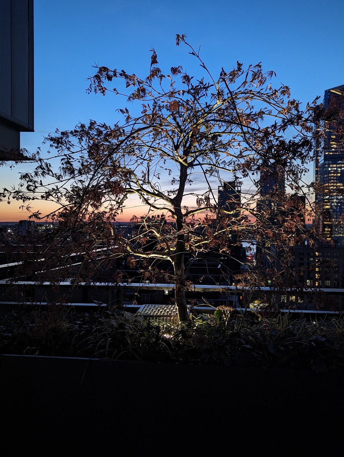 Ruby — photo 5