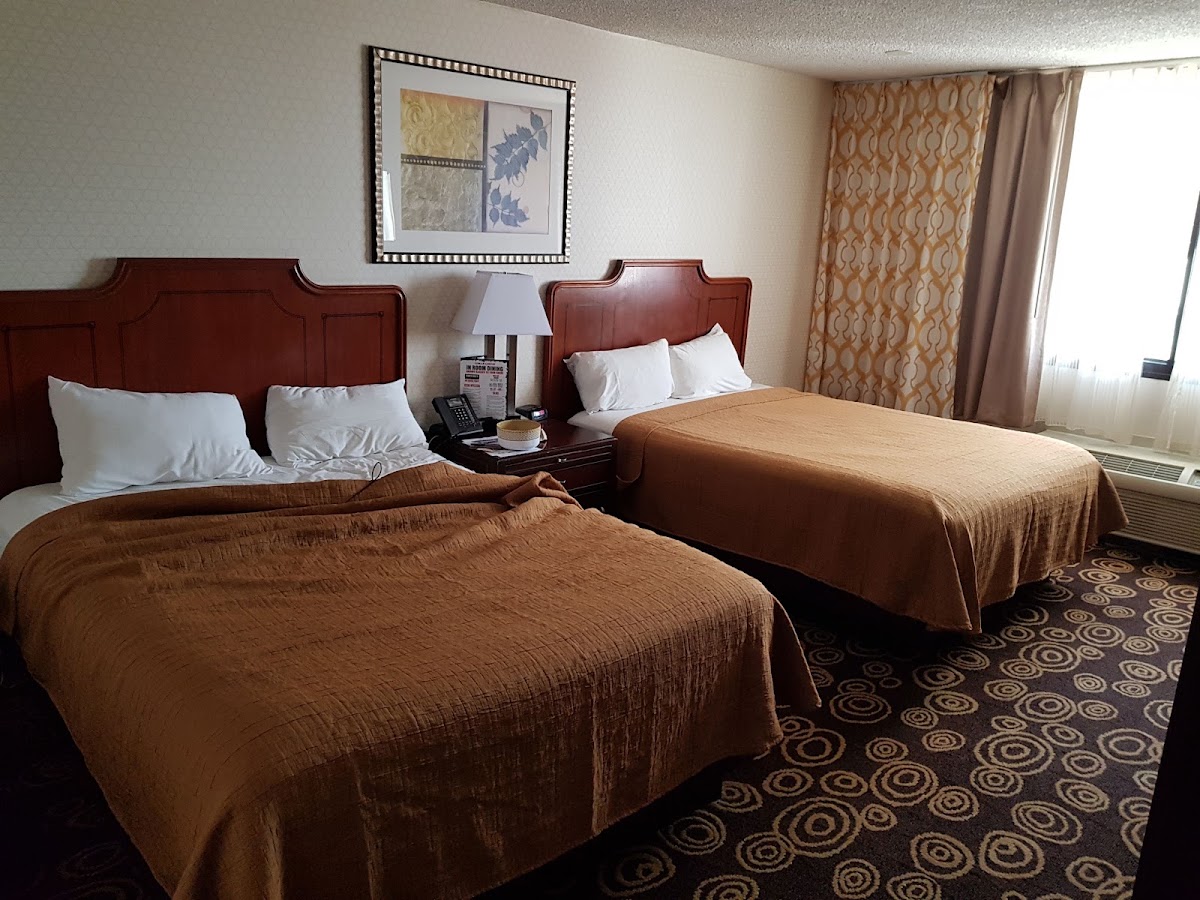 Circus Circus Hotel and Casino — photo 3
